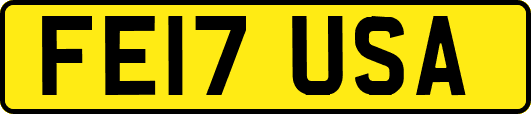 FE17USA