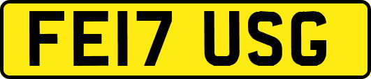 FE17USG