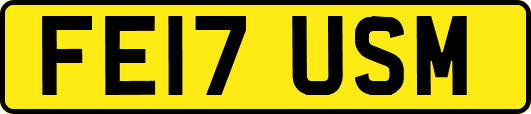 FE17USM