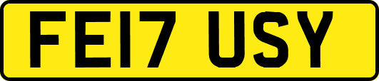 FE17USY