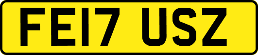 FE17USZ