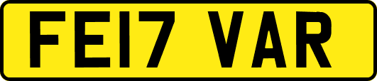 FE17VAR