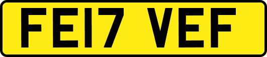 FE17VEF