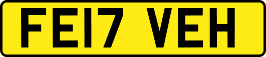 FE17VEH