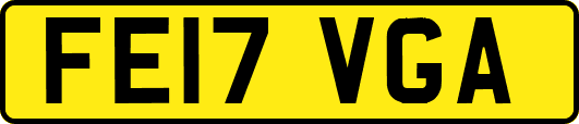FE17VGA