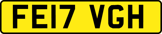 FE17VGH