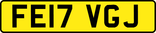 FE17VGJ