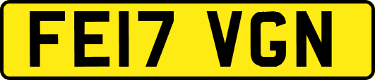 FE17VGN