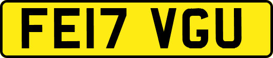 FE17VGU