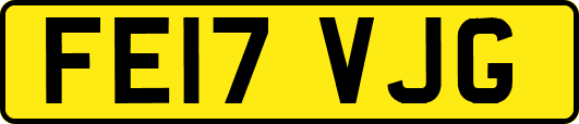 FE17VJG