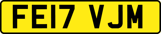 FE17VJM