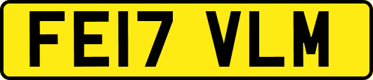 FE17VLM