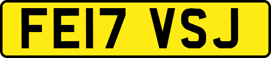 FE17VSJ