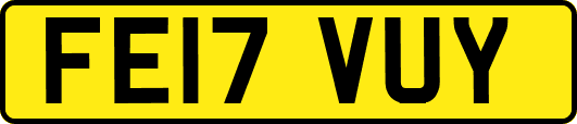 FE17VUY
