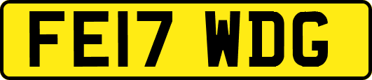 FE17WDG