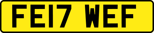 FE17WEF