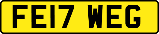 FE17WEG