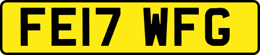 FE17WFG