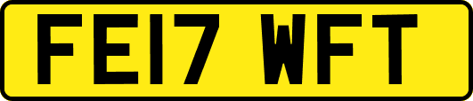 FE17WFT