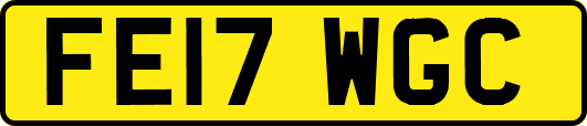 FE17WGC