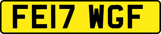 FE17WGF