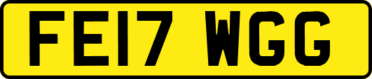 FE17WGG