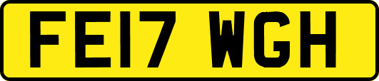 FE17WGH