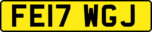 FE17WGJ