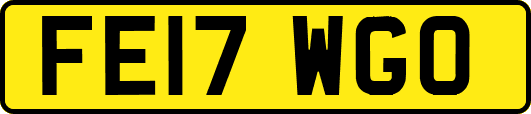 FE17WGO