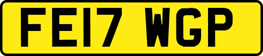 FE17WGP
