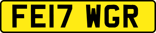 FE17WGR