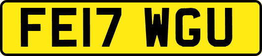 FE17WGU