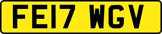 FE17WGV