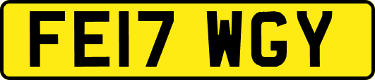 FE17WGY