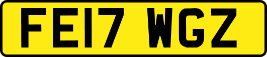 FE17WGZ