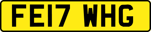 FE17WHG