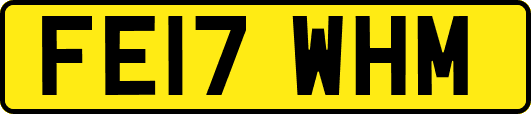 FE17WHM