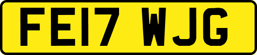 FE17WJG