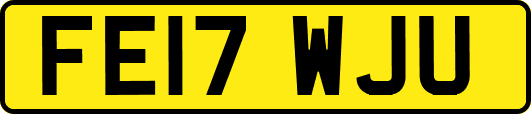 FE17WJU