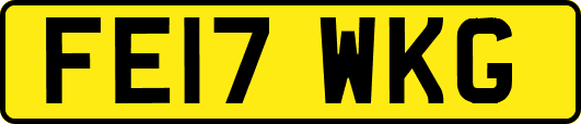 FE17WKG