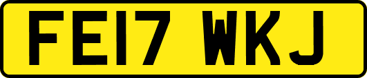 FE17WKJ