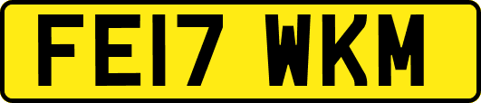 FE17WKM