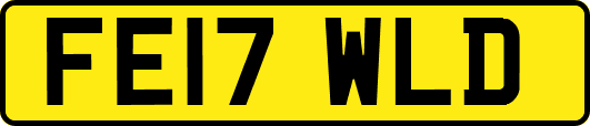 FE17WLD