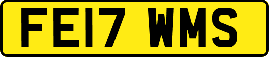 FE17WMS