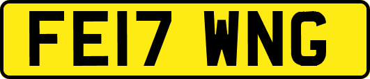 FE17WNG