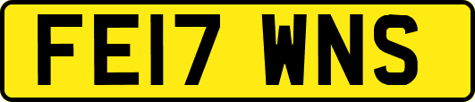 FE17WNS