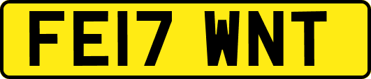 FE17WNT
