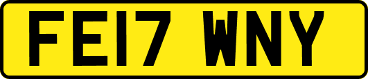 FE17WNY