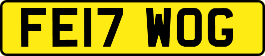 FE17WOG