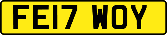 FE17WOY